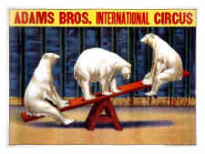 Vintage Bear Posters