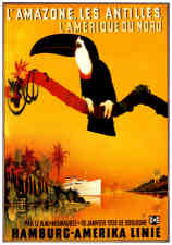 Vintage Bird Posters